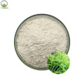 Dihydromyricetin Herbal Extract For Health Supplement